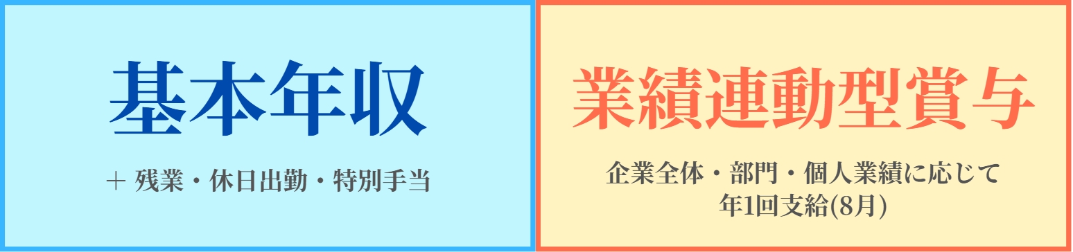 給与システム年収